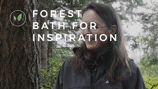 How to Take a Forest Bath for Inspiration