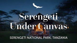 Live Africa's Great Adventure | Serengeti Under Canvas | Tanzania