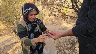 Love in the heart of the forest:happy moments of Shahla and Ostadkar and romantic scenes in nature️