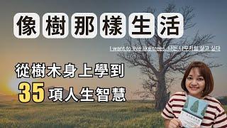 改變韓國十萬讀者，從樹木身上學到35項堅毅的人生智慧。►《像樹那樣生活》禹鍾英｜說書｜書評｜千芸說書