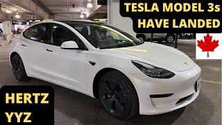 New Tesla Models 3s at Hertz Toronto Airport (YYZ) - June 2, 2022 - Update (Friday evening)