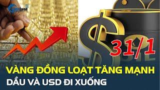 Giá vàng hôm nay 31/1 ĐỒNG LOẠT TĂNG MẠNH, dầu và USD đi xuống | CafeLand