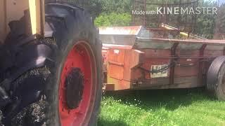 Cleaning the cow yard