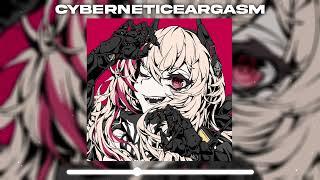 CYBERNETICEARGASM