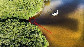 Fly Fishing Snook Charlotte Harbor