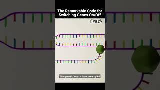 Dr Michael Behe   The Remarkable Code for Switching Genes On Off  part 2