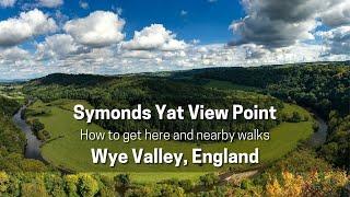 Symonds Yat Panoramic Views - Wye Valley and Nearby Walks