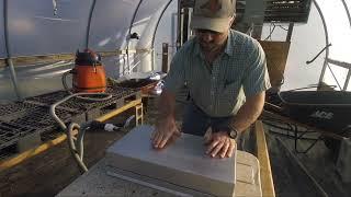 Seeding Vegetable Plug Trays with our Vacuum seeder