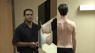 Back Examination - McMaster MSK Examination Series