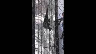 Хайуанаттар паркі