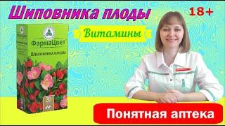 Шиповник: витамин С, гиповитаминоз, простудные заболевания, ОРВИ, грипп