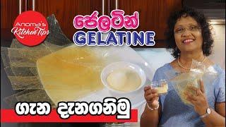 ජෙලටින් ගැන මේ දේවල් ඔබ දන්නවාද? - Things to know about Gelatine - Anoma's Kitchen Tips 92