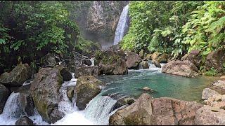 Hike to Victoria Falls on the Island of Dominica