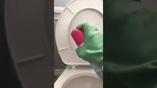 Satisfying Toilet Cleaning - ASMR #shorts