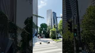 Tbilisi Virtual Tour - Walking along Chavchavadze Avenue #shorts | 24