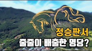 정승판서 줄줄이 배출한 명당? 조선8대명당 김극뉴 묘역.