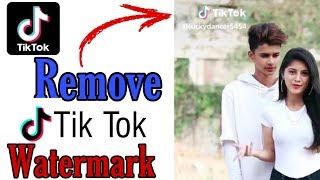 How to download Tik Tok video without watermark?