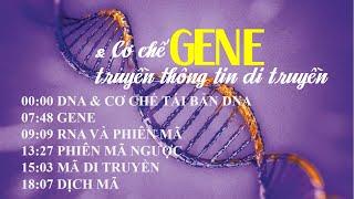 GENE VÀ CƠ CHẾ TRUYỀN THÔNG TIN DI TRUYỀN | SINH HỌC 12 BÀI 1