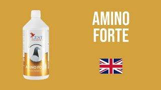 AMINO FORTE - CEST PHARMA - ENGLISH