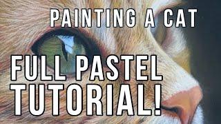 Full Pastel Drawing Tutorial - How to Paint a Photo Realistic Cat