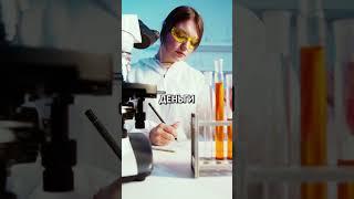 Как пересадка растения снижает тревогу о деньгах