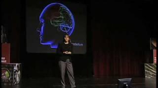 Building a Circuit-Diagram for the Brain (Jennifer Raymond, Stanford University)