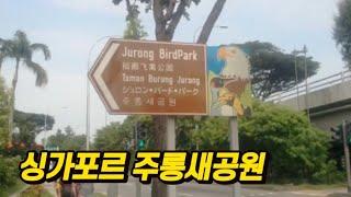 싱가포르 주롱 새공원 Jurong Bird Park