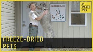 Freeze-Dried Pets | Second Life Freeze Dry // 60 Second Docs