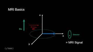 Introduction to MRI: Basics 1 - How we get Signal