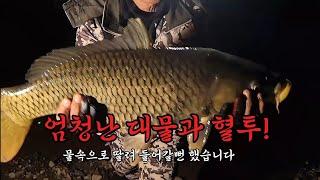 엄청난 대물과 혈투! 월척붕어 마릿수 #carpfishing