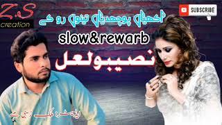 AKHAN_POCHDIAN_TENO_RO_KY_PUNJABI_SAD_SONG_NASEEBO_LAL_Z.S CREATION