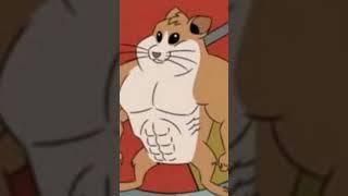 buff hamster