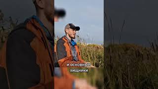 Плюсы и минусы рыбалки в городе
