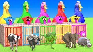 Long Slide Game With Elephant Gorilla Buffalo Hippopotamus Tiger - 3d Animal Game - Funny 3d Animals