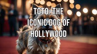 Toto The Iconic Cairn Terrier Dog of Hollywood