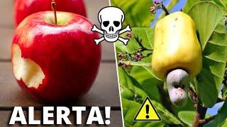 As 10 Frutas Mais PERIGOSAS do Mundo Que Você Não Sabia e Deve Tomar CUIDADO (Parte 2)