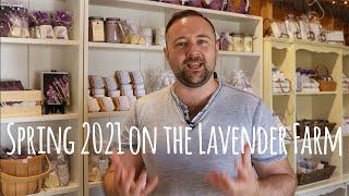 Spring 2021 Introduction to Our Lavender Farm