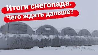 Зима на Кубани. Весело только детям. Подвожу итоги очередного снегопада.