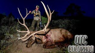 2024 Giant Archery ELK HUNT In Colorado | BEAST BROADHEAD