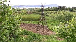 How to weave a garden obelisk