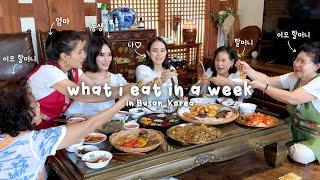 what i eat in a week at my KOREAN GRANDMA's house in BUSAN (Korean Food + Hanok Family Staycation) 