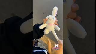 Rabbit Plush   | Plush Toys for Kids | Plush Toy | #plushtoys #cutetoys #shorts #giftforkids