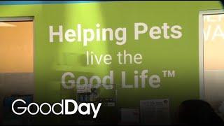 Pet Evolution: Dedicated to Helping Pets Live the Good Life!