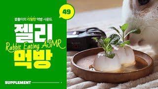  토끼 먹방 ASMR  토끼 전용 젤리라구!? 꽃돌이의 탱글탱글 팅글넘치는 아쿠아젤리 먹방!