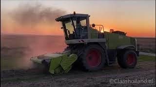 Pflanzenreste Häckseln/ plantenresten hakselen