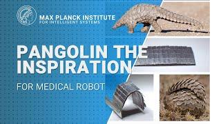 Pangolin the inspiration for medical robot