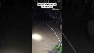 mancing ikan lele malam hari #40  #shorts