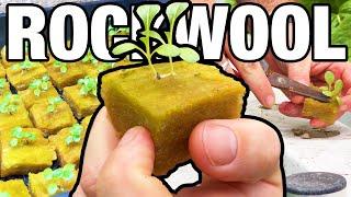 How to Start Seeds in RockWool