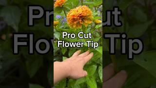 Cut flower garden tip for gorgeous summer bouquets this season  #gardening