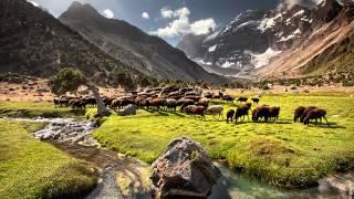 Pamir Documentary Campaign Video